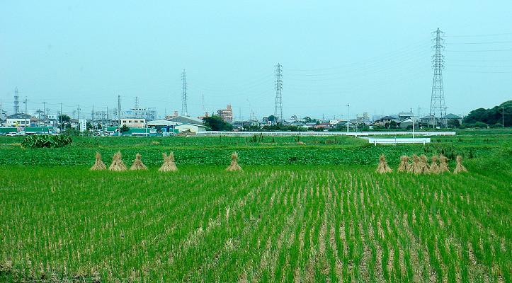 d0118729_0282548.jpg