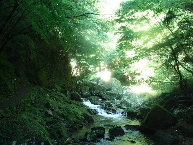 b0102639_0124325.jpg