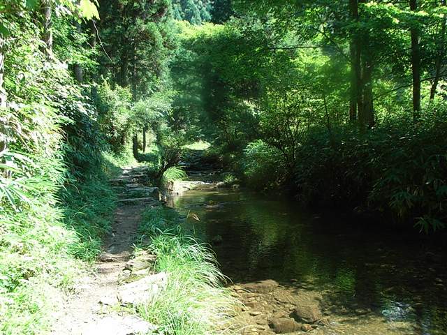 b0102639_013952.jpg