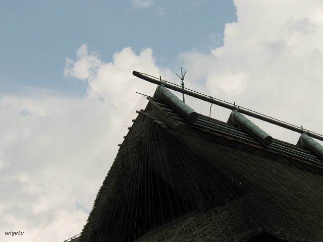 c0126344_11315757.jpg