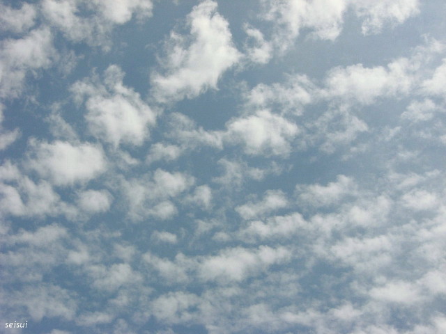 c0126344_11323539.jpg