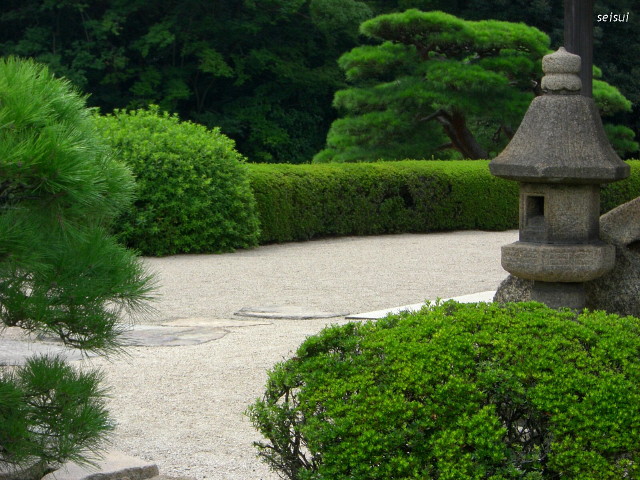 c0126344_1133941.jpg