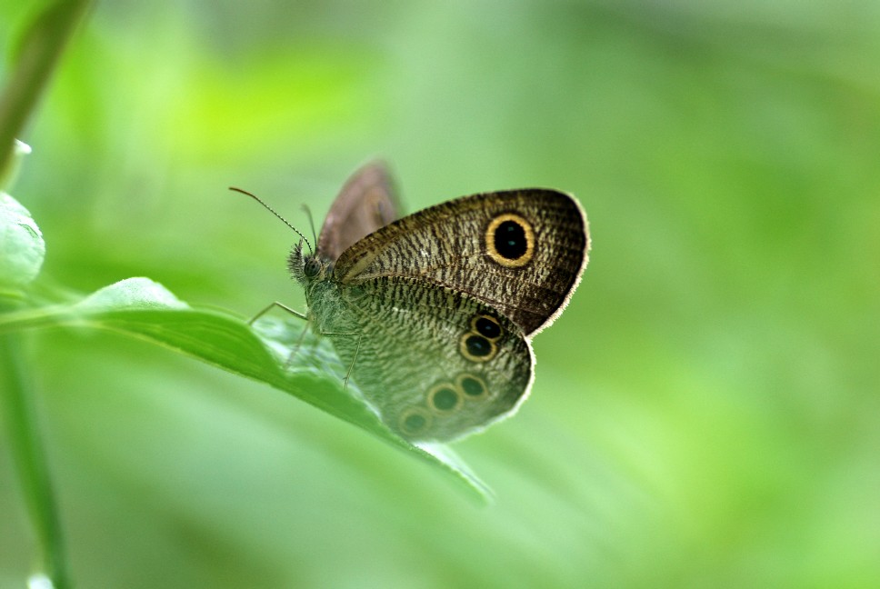 e0009147_18481579.jpg