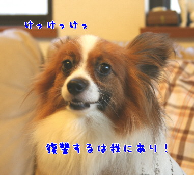 d0013149_1471831.jpg