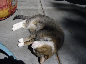 f0002252_16553091.jpg