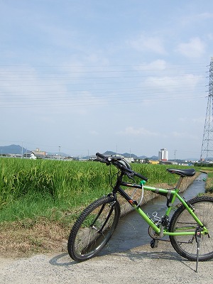a0022762_221227.jpg