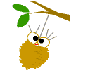 a0063364_18332577.gif