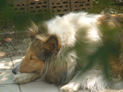 a0063364_1844789.jpg