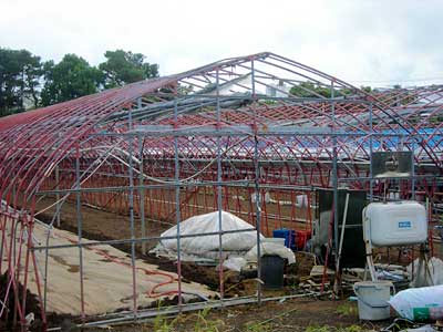 e0097770_4455490.jpg