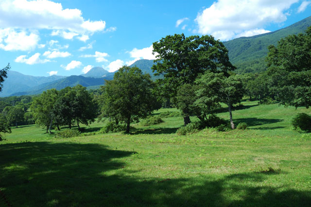 b0102780_743037.jpg