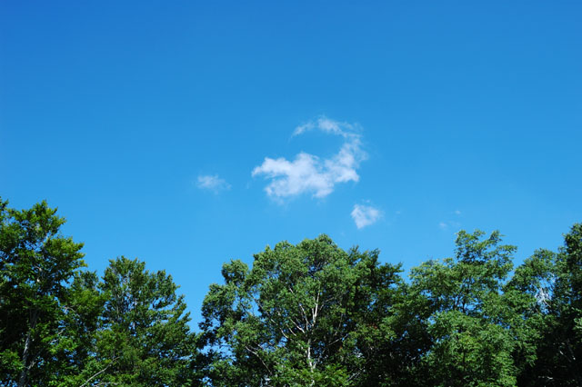 b0102780_7493134.jpg
