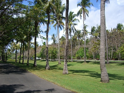 b0101284_2227174.jpg