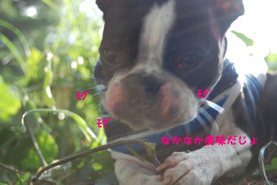 c0092787_8581428.jpg