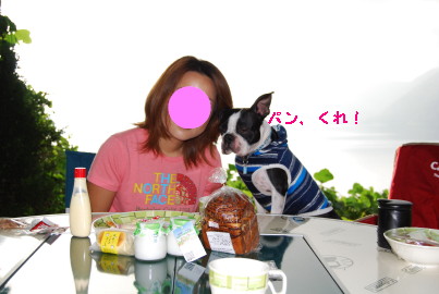 c0092787_9105298.jpg