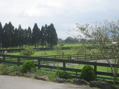 c0092787_9322629.jpg
