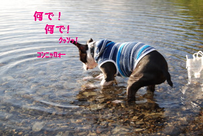 c0092787_951692.jpg