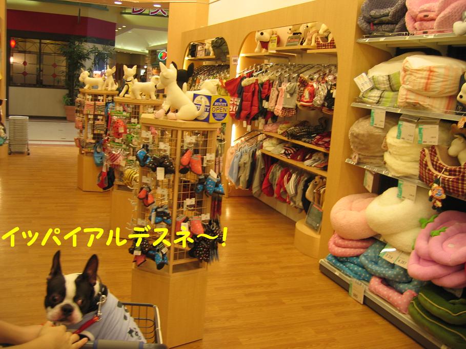 a0080889_2443463.jpg