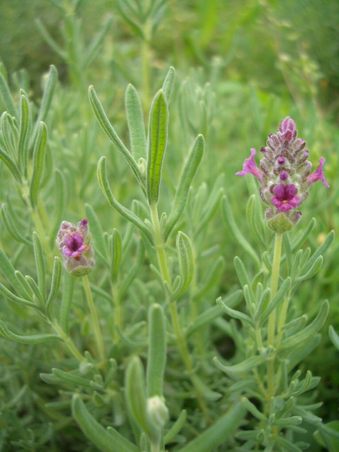 c0120591_21413214.jpg