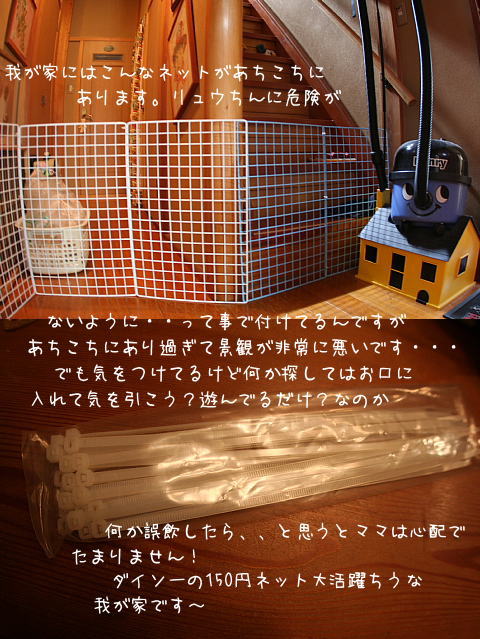 b0079792_1032779.jpg