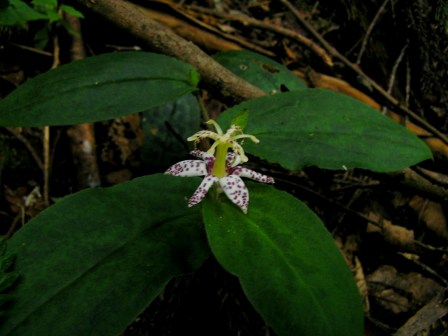 c0034595_10501790.jpg