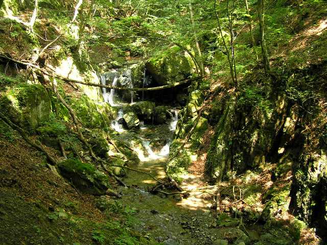 c0034595_1059666.jpg
