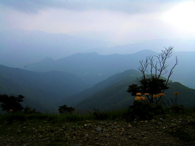 c0034595_11195743.jpg