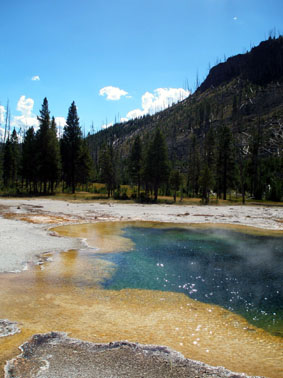 c0061496_10165923.jpg