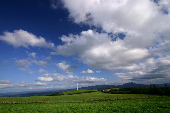 b0072697_22531678.jpg