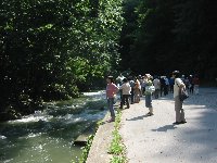 e0122199_1433160.jpg