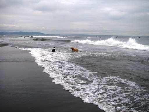 f0034602_2172880.jpg