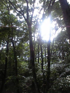 c0097806_1728025.jpg