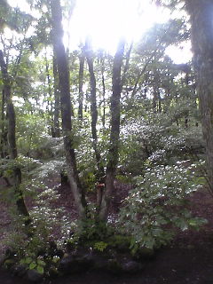 c0097806_17283480.jpg