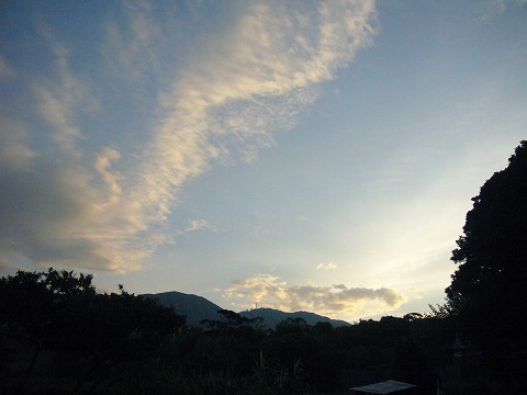 d0037110_2253627.jpg