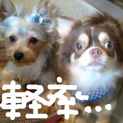 c0036617_19415565.jpg