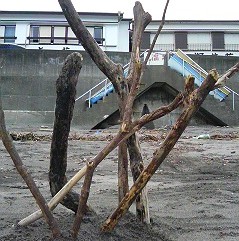f0130430_14281910.jpg