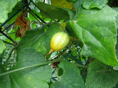f0132230_9543451.jpg