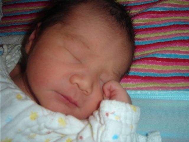 d0010531_8463845.jpg