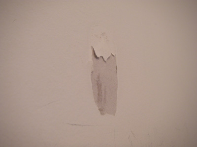 e0008833_10563933.jpg