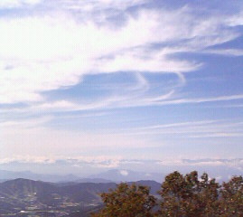 c0118536_21334213.jpg