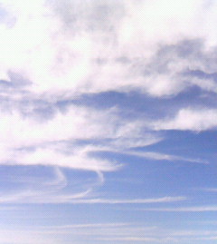 c0118536_21343331.jpg