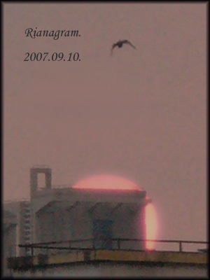 a0088942_1593610.jpg