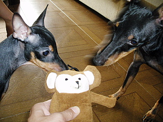 c0123149_21463642.jpg