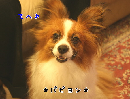 d0013149_1284143.jpg