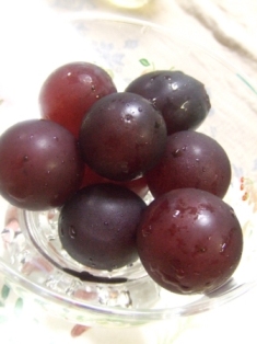 c0081552_21442338.jpg