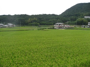 f0139253_2124138.jpg