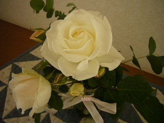 c0137257_21445544.jpg