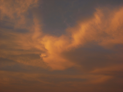 a0085558_124957.jpg