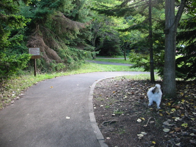 f0122259_20375634.jpg