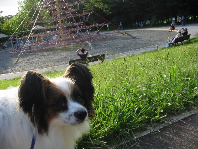 f0122259_20392043.jpg