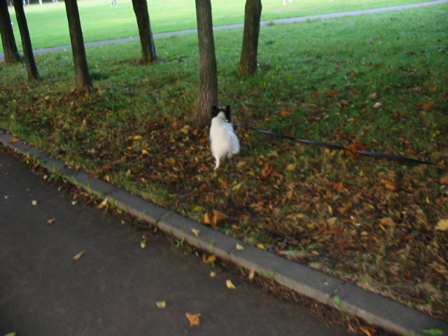 f0122259_2043222.jpg